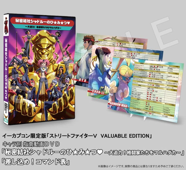 Street-Fighter-V-Collector3