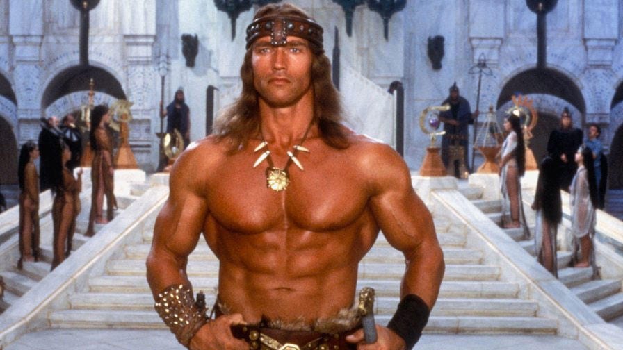 Resultado de imagem para arnold schwarzenegger filmes