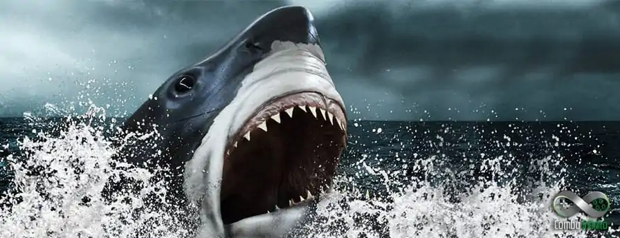 Tubarão absurdamente gigante é encontrado em Battlefield 4