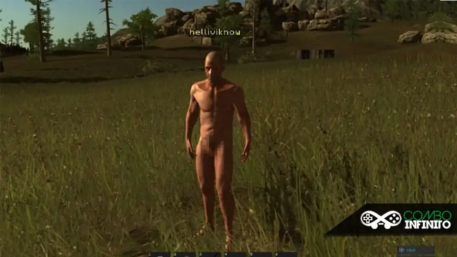 O tamanho de seu pênis no jogo Rust será definido de acordo com sua Steam ID