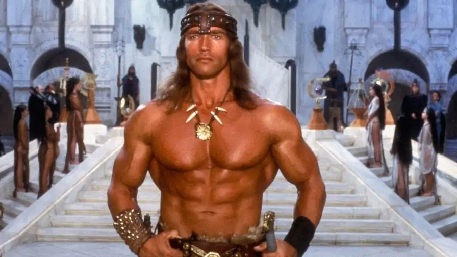 Arnold Schwarzenegger conta seus planos para novo filme do Conan