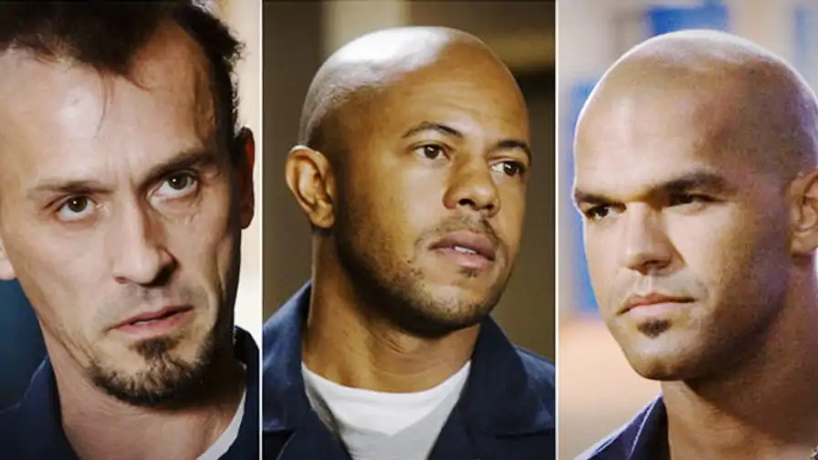Prison Break: T-Bag, Sucre e C-Note também estarão no retorno da série