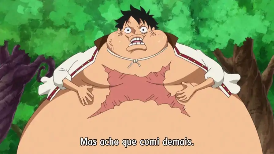 One Piece – Episódio 805 – Haja estômago
