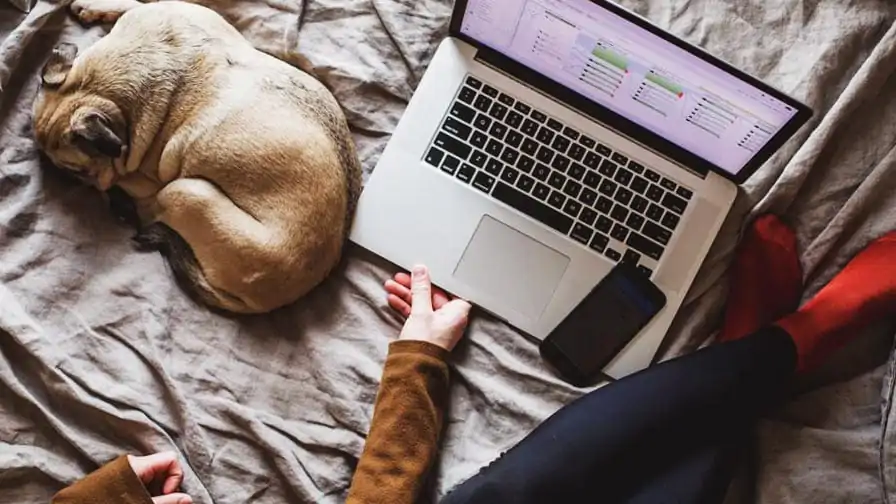 “Burst” – Banco de imagens grátis da Shopify é lançado em português