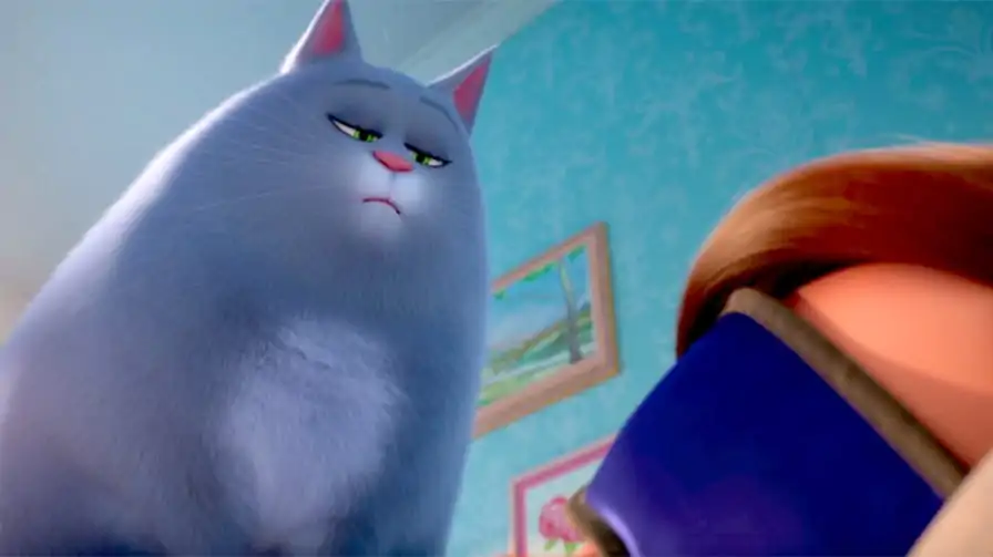 Gatinha Chloe é destaque do 2º trailer de Pets: A Vida Secreta dos Bichos 2