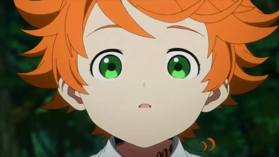 The Promised Neverland: Revelado o número de episódios da segunda temporada