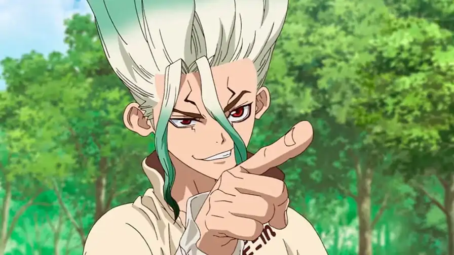 Dr. Stone