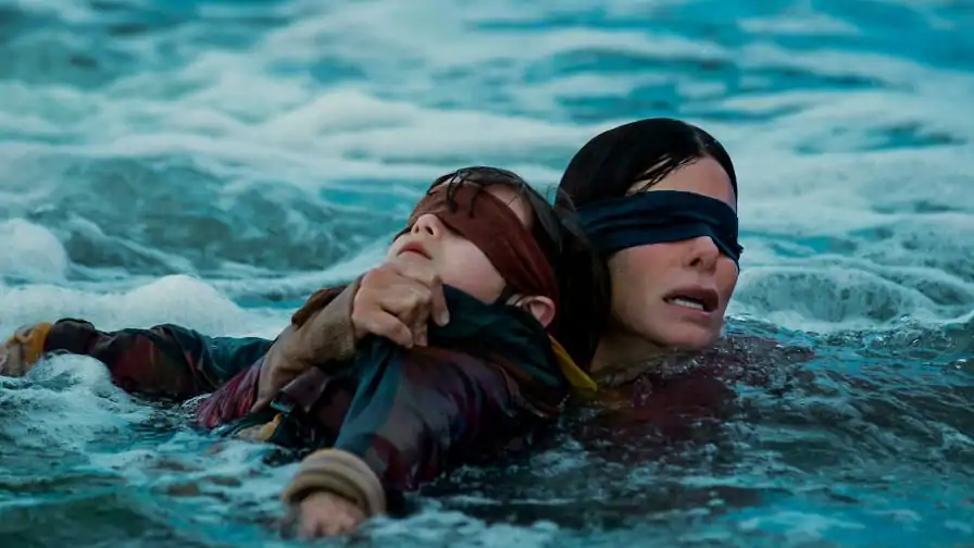Netflix - bird box