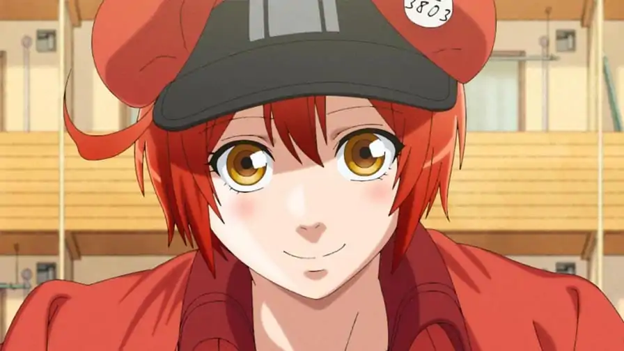 Cells at Work