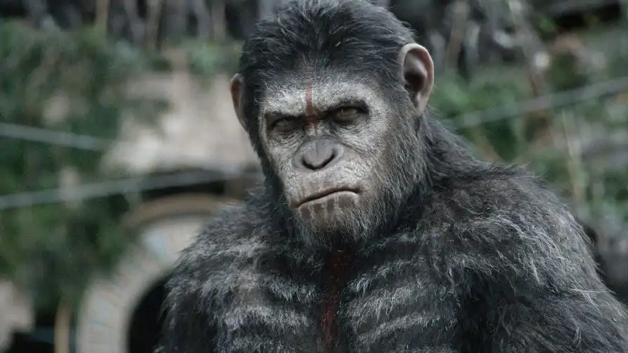 Planeta dos Macacos: Diretor revela novas informações próximo filme da franquia