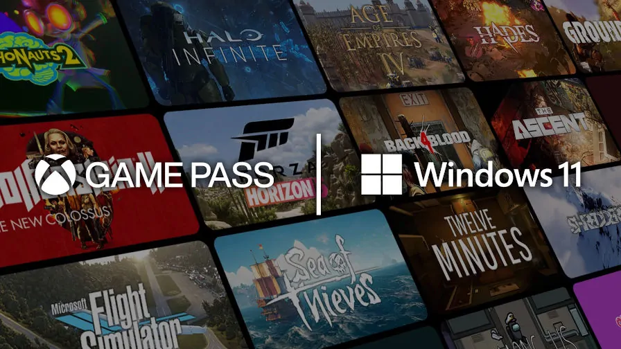 Windows 11