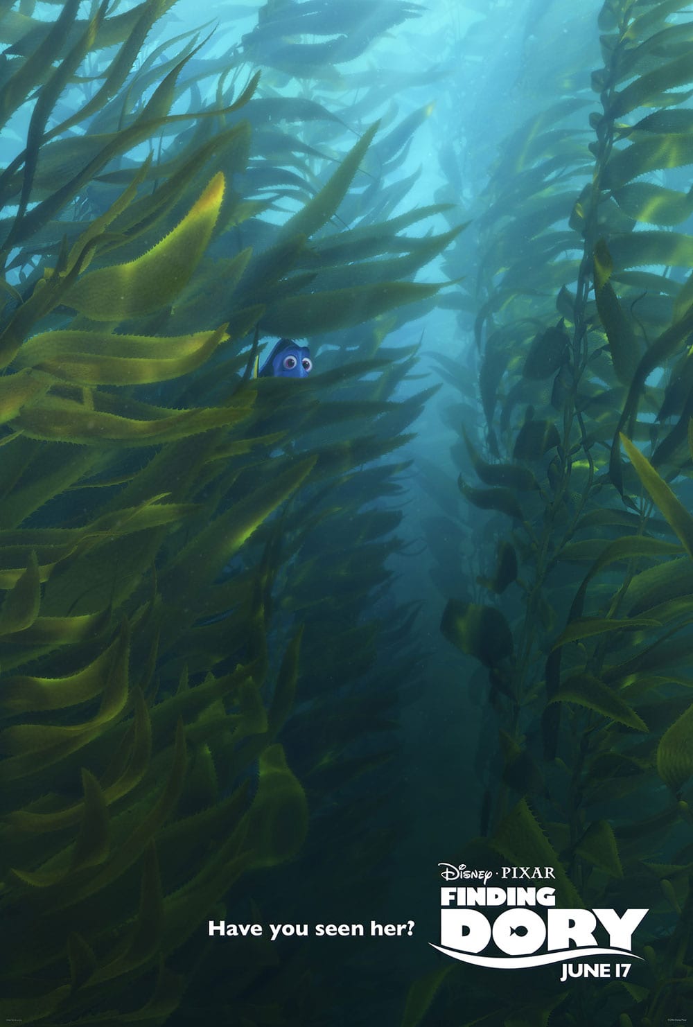 dory1