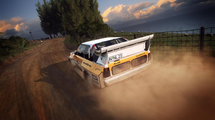 Dirt Rally dirt 5