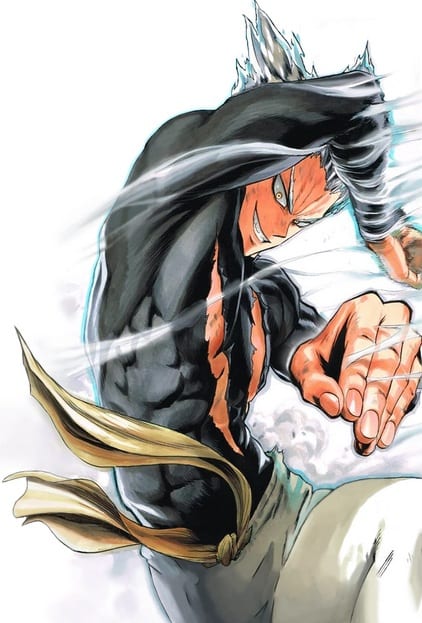 One Punch Man Garou