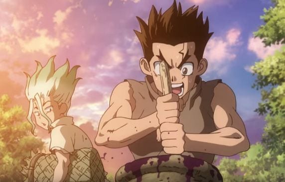 Dr Stone