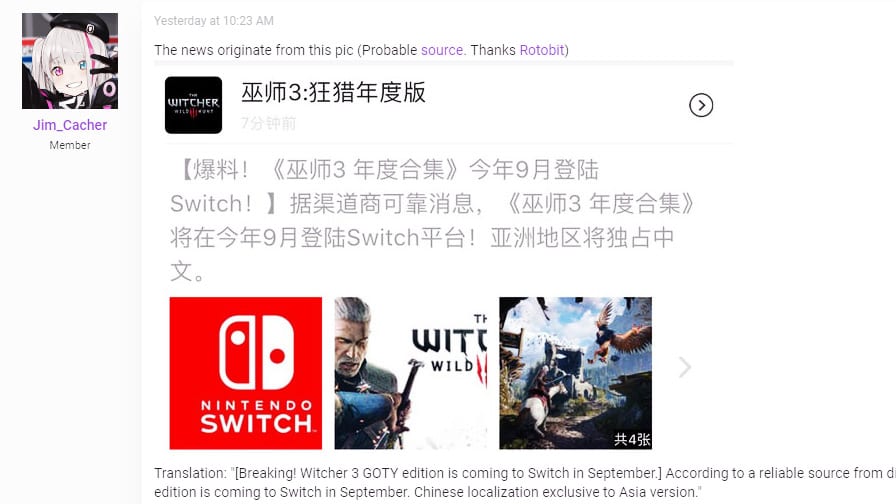 the witcher 3
