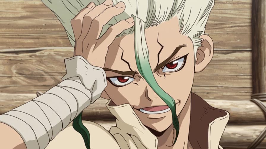 Dr. Stone