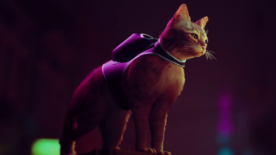 Jogo do gato: veja lista com Stray e mais games com protagonistas felinos