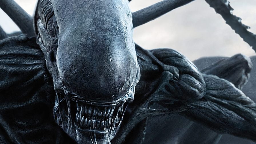 Alien: novo filme da franquia ganha data de estreia e sinopse