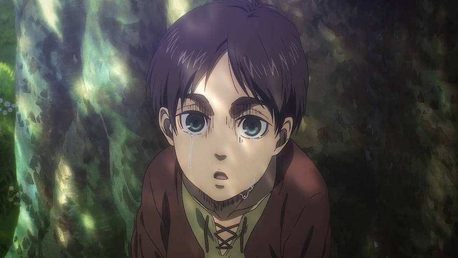 Attack On Titan/shingeki No Kyojin 3 Temporadas Completas