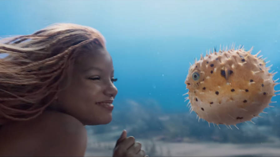 a pequena sereia