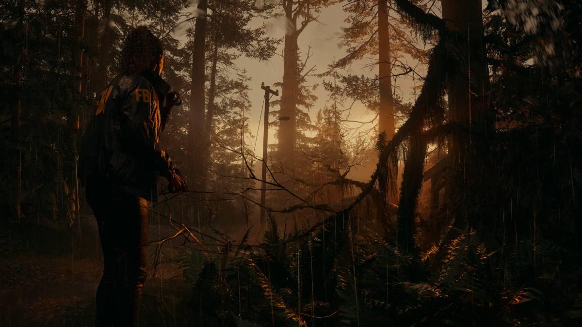 alan wake
