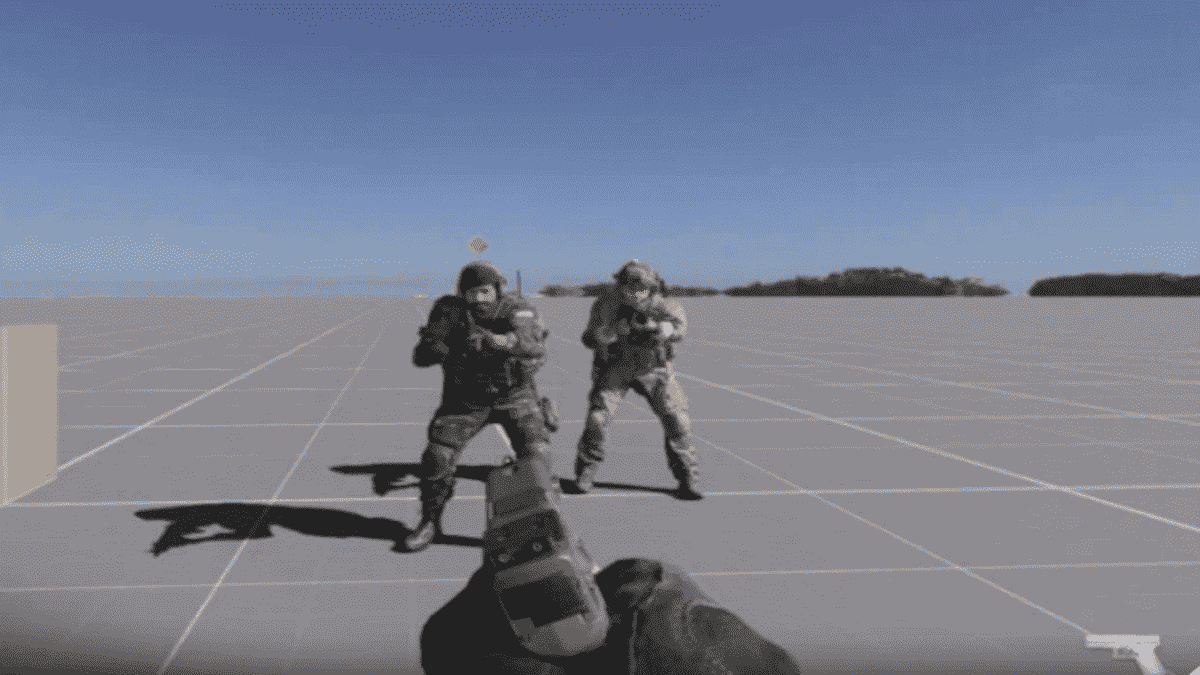 Call of Duty