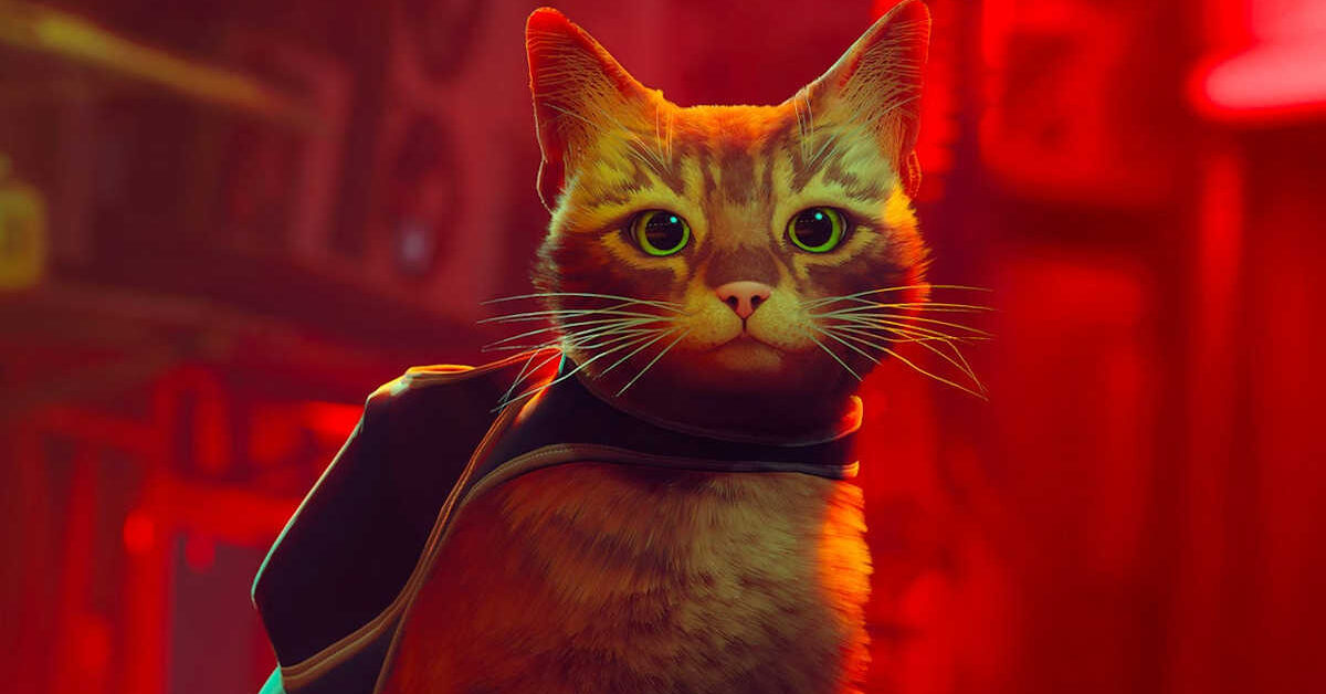 Stray