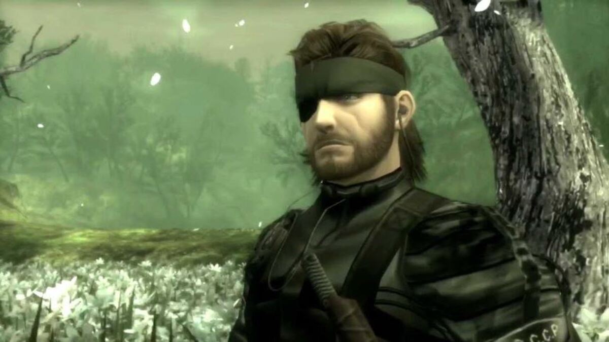 Snake david hayter Metal Gear Solid