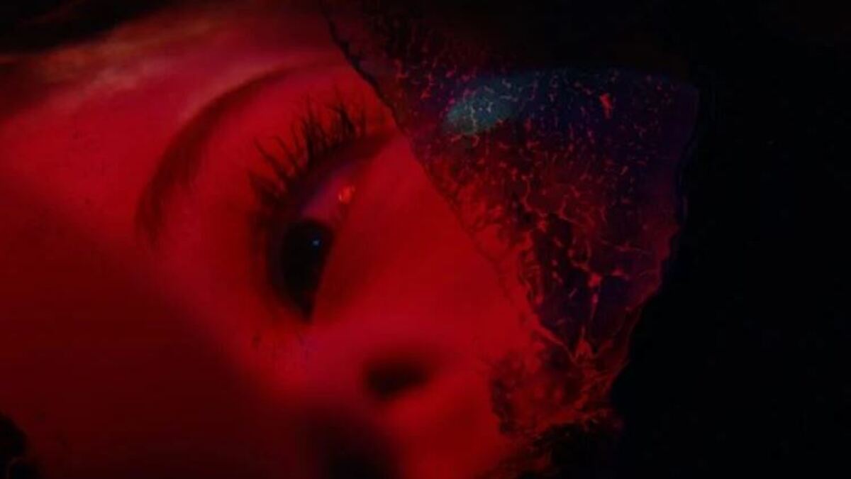 Immortality project c project d