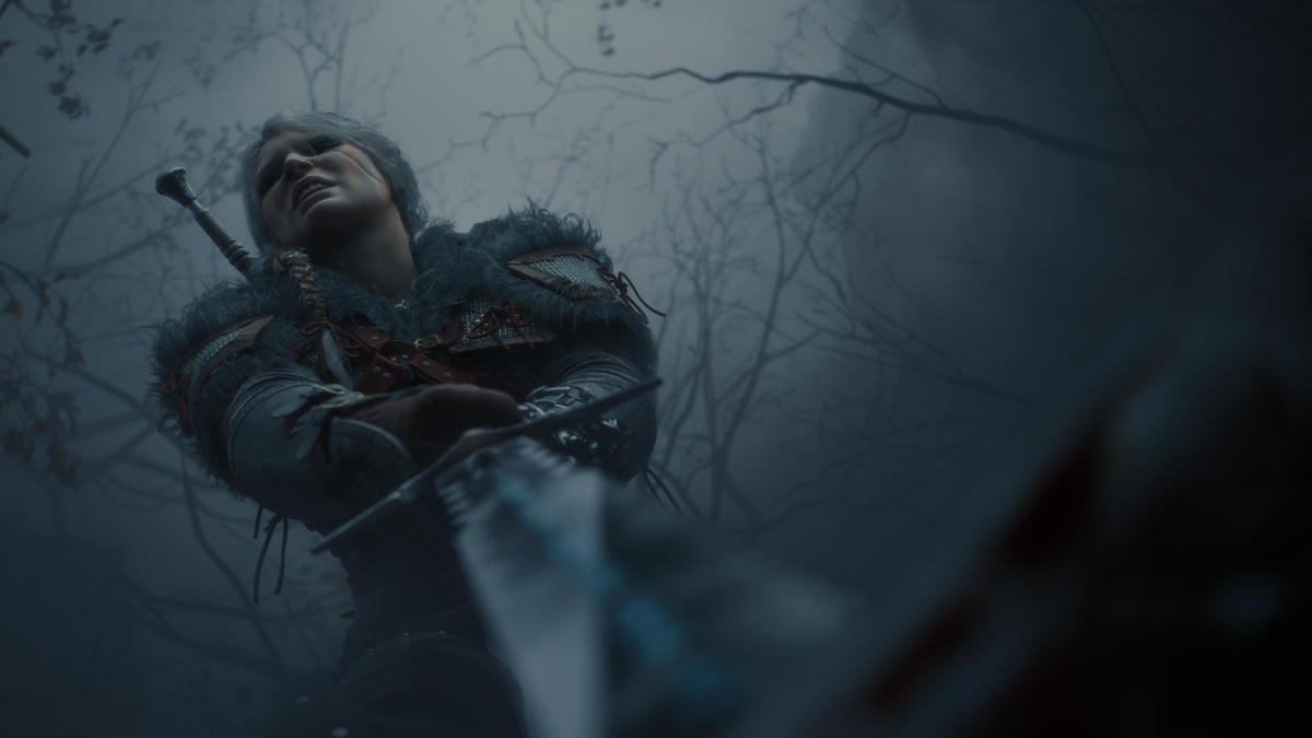 The Witcher 4