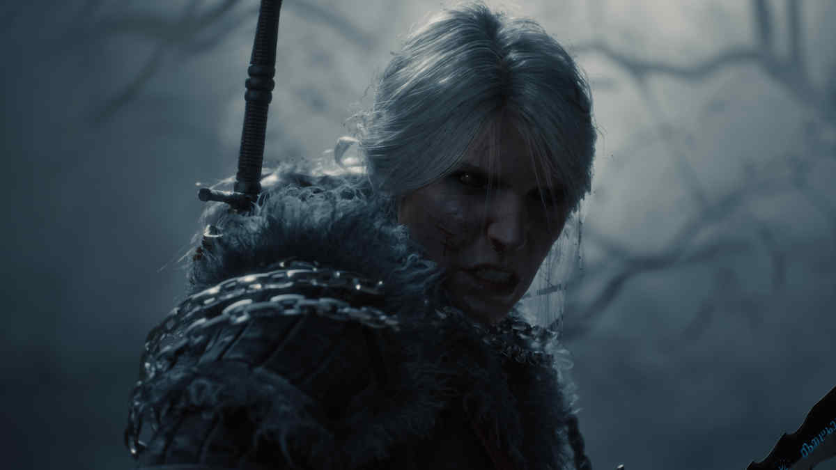 The Witcher 4